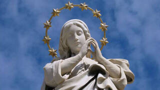 La Virgen María revela que “los últimos tiempos están cerca” sugiere un investigador y escritor de apariciones marianas